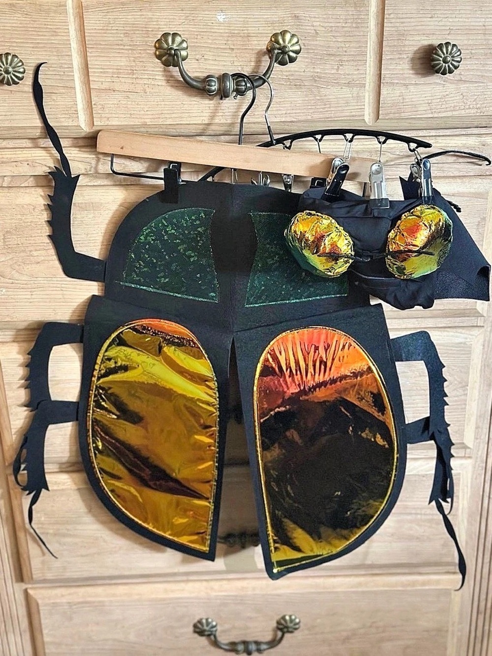 Kids Beetle Bug Costume Wings & Hat Halloween Dress Up Accessories #Unisex